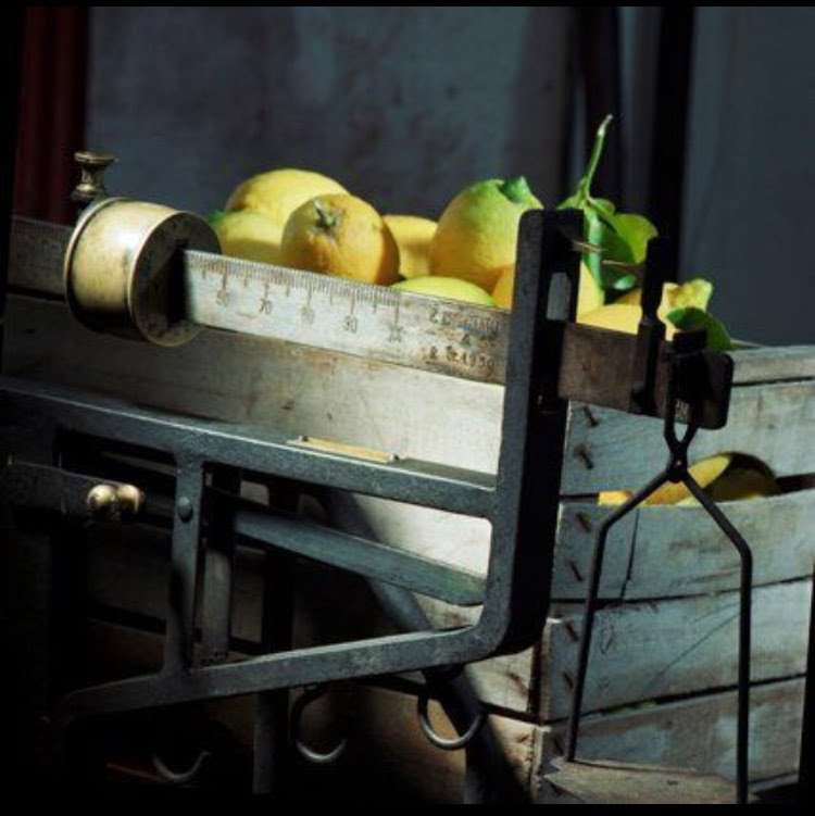 AGRUMATO LEMON OLIVE OIL