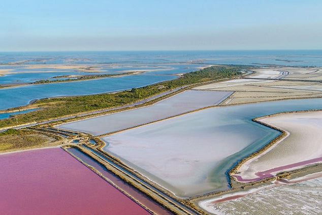LE SAUNIER DE CAMARGUE FLEUR DE SEL