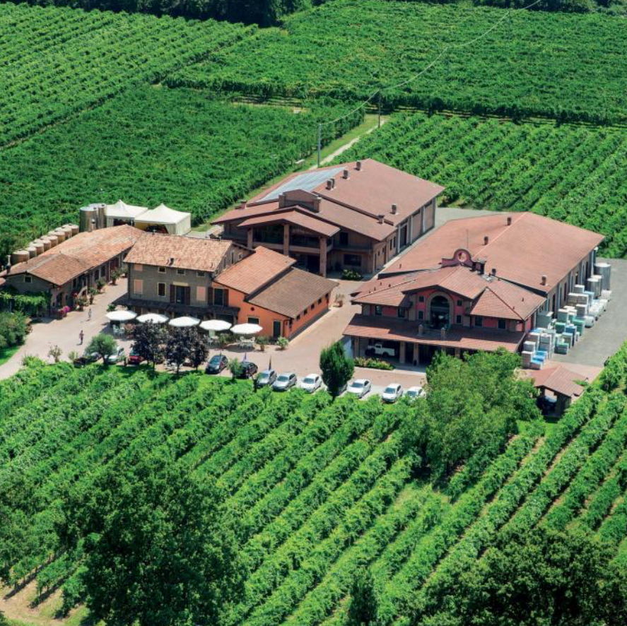 BALSAMIC VINEGAR FROM MODENA IGP - SILVER SEAL