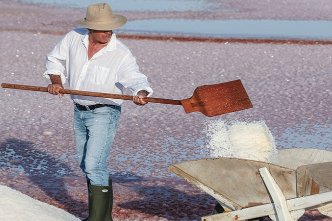 LE SAUNIER DE CAMARGUE FLEUR DE SEL